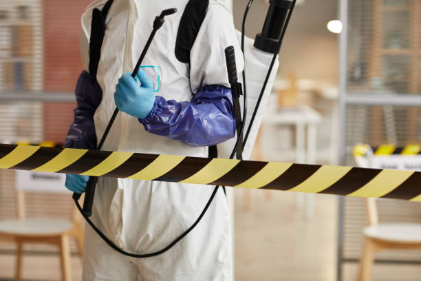 Professional Sewage Cleanup technician working in Hancock, WI